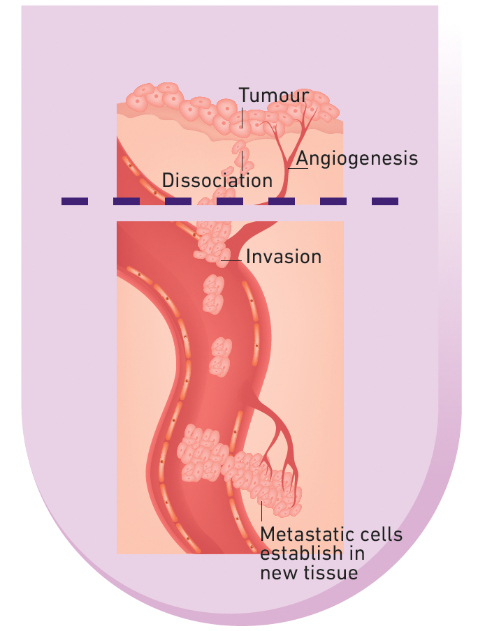 tax25 rubybai article 2